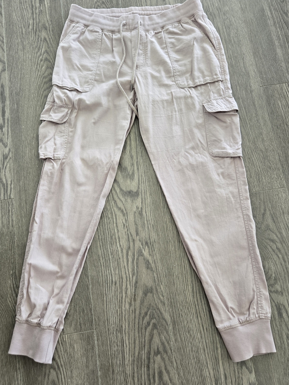 Aritizia Community Cargo Jogger Pants